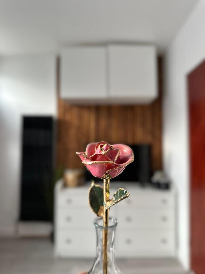 Modern En Suite Bedroom Close To City Centre ليدز المظهر الخارجي الصورة